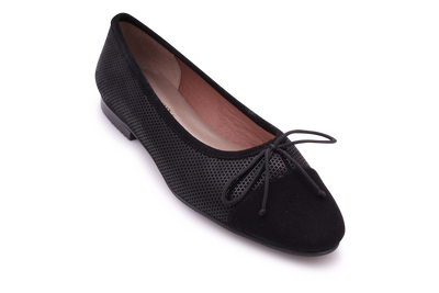 Benvenida Duchess V