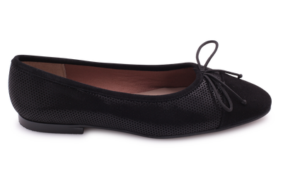 Benvenida Duchess V