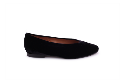 Lodi Braidy 1804